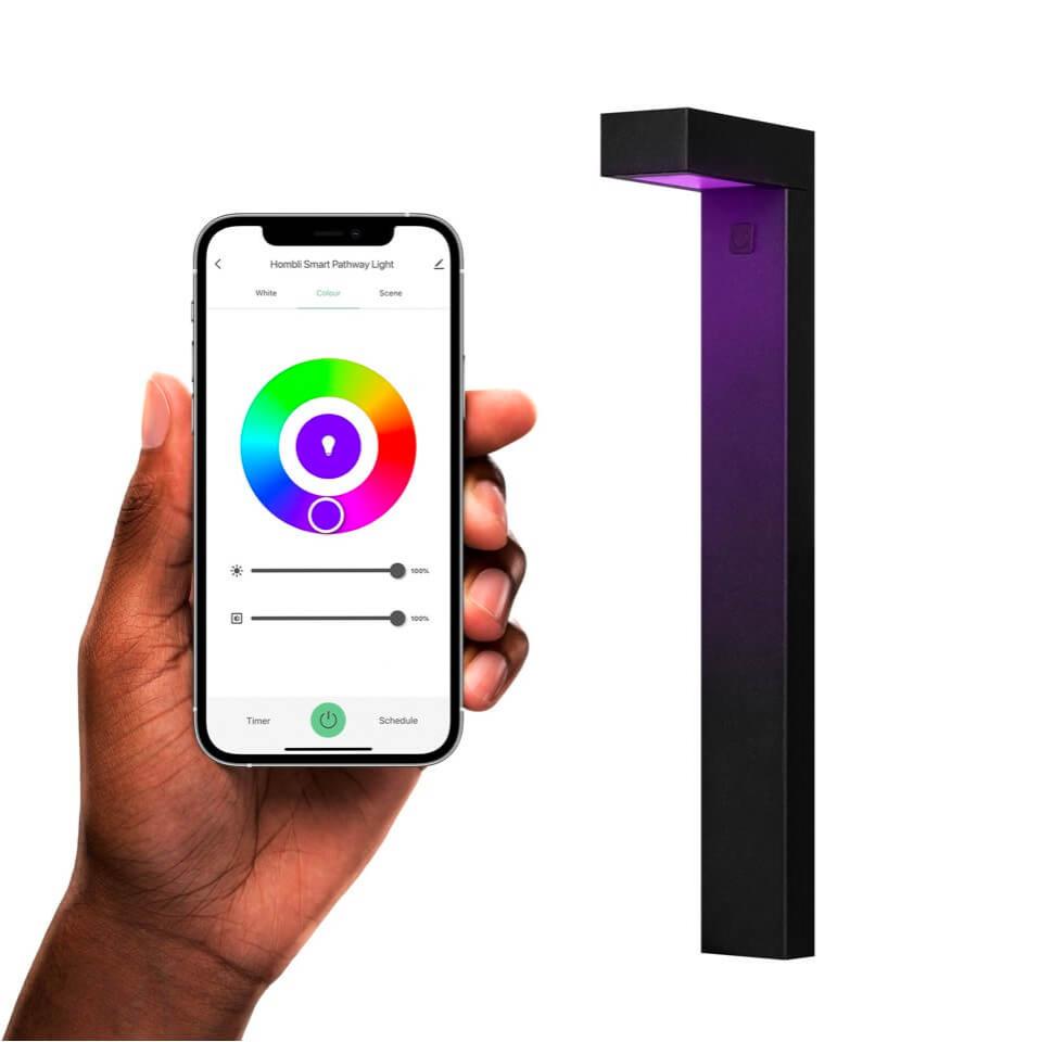 Hombli Smart Pathway Light